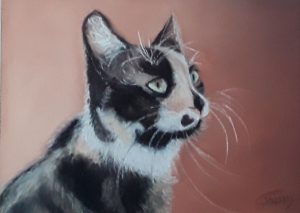 Chat
